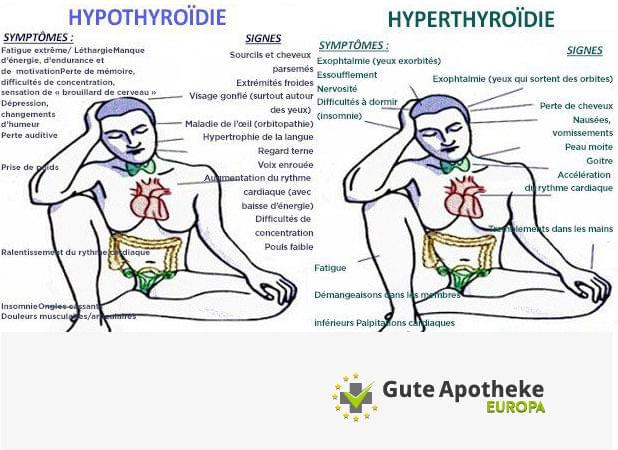 thyroïde 